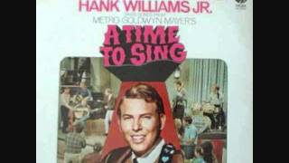 Hank Williams Jr - A Time To Sing