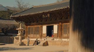 JIMFF2026 Trailerㅣ삼춘, 어디감수광? Uncle, Where Are You Going?ㅣ프리스타일