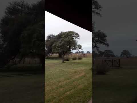 Nueva Galia sur de San Luis. Domingo ,Llueve otra vez 🌩️19/4/26 #lluvia #pronosticodeltiempo