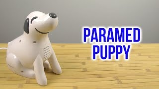 PARAMED Puppy - відео 2