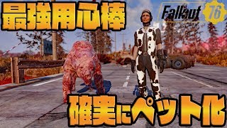 [Fallout76] 地上最強生物もペットに!?誰でも簡単確実にモンスターをペットにする方法！ [攻略動画]
