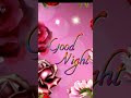 Good Night Status Video WhatsApp Status Video Good Night 23 11 2022