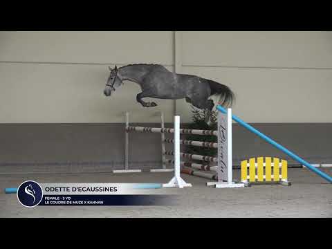 ODETTE D´ECAUSSINES