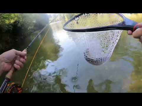 Fliegenfischen im bayerischen Voralpenland: die AMMER