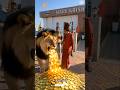 Alakh Niranjan Aghori Sadhu S Mystical Spritual Journey Divine Power Mysticism