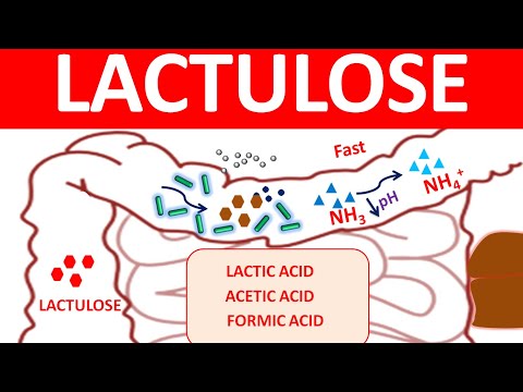 Lactulose syrup ., 200 ml