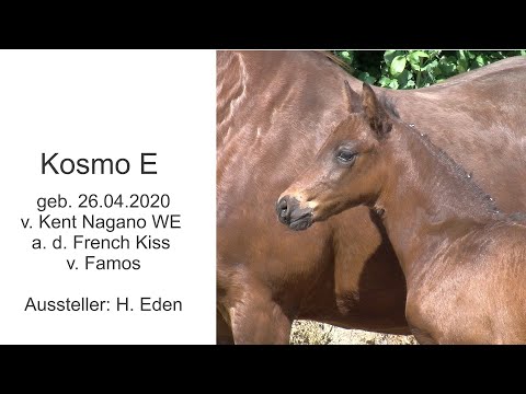Kosmo E v Kent Nagano WE x Famos 2020
