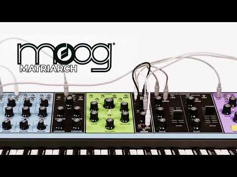 MOOG MATRIARCH