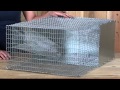 Quail Pen Recovery Trap