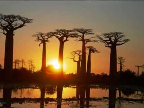 FFPM : 473- Momba anay, ry Jeso Tompo o - Reste avec nous - Abide with me