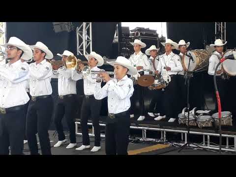 Facmol - Orquestra de Sopros e Percussão  executando ABBA GOLD