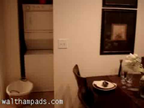 Magnificent apartment for rent in Waltham MA