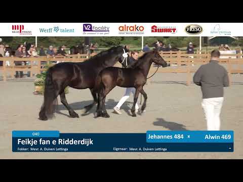 CK 2025 | Veulens en Jeugd Baan 2 | 11 September 2025