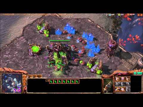 For the Swarm - 3v3 ZZZ vs. TTP - Part 1