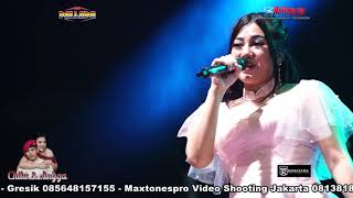 Download lagu JANGAN NGET NGETAN - AYU ARSITA-NEW PALLAPA LIVE KUPU  WEDDING CHITA & ANGGA- TEGAL mp3 Download lagu JANGAN NGET NGETAN - AYU ARSITA-NEW PALLAPA LIVE KUPU  WEDDING CHITA & ANGGA- TEGAL mp3