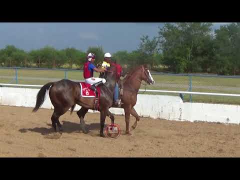 EL CARNICERO  VS  LA NORTEÑA