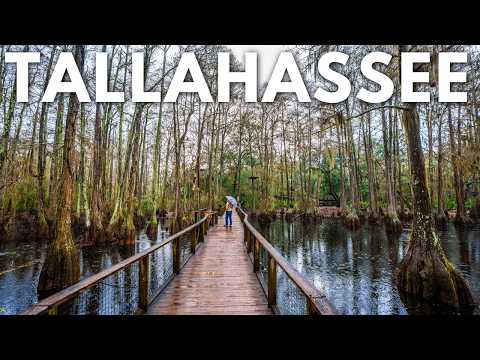24 Hours in Tallahassee, Florida: What to Do, See & Eat
