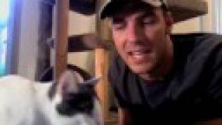 FUNNIEST Mean Kitty Picture EVER!!!