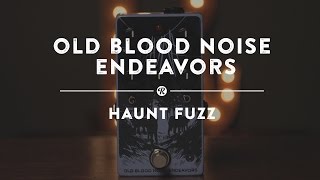 Old Blood Noise Endeavors Haunt Fuzz | Reverb Demo Video