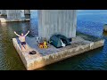 2 Days Stealth Camping Under A Bridge Eating Only What I Catch