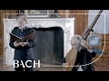 Bach - Bist du bei mir BWV 508 - Daniels | Netherlands Bach Society