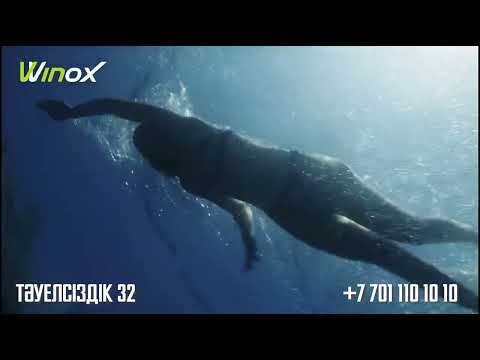 Winox — всё включено для вашего идеального результата!