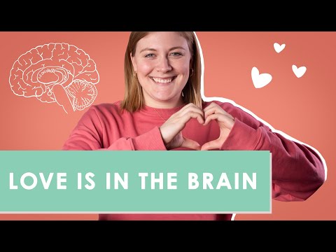 VERLIEBEN - Stress pur! | psychologeek