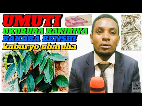 ABAKIRIYA BAZA NKIMVURA IGISUBIZO KU KUBACURUZI_UMUKUNDE N'umuti KURI WOWE(Nubikoresha. uzanshimira)