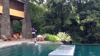 preview picture of video 'Alila Ubud - that irritating late afternoon bird call...'