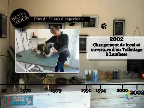 Salon de Toilettage Betty Neige - 13410 Lambesc