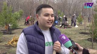 Видео