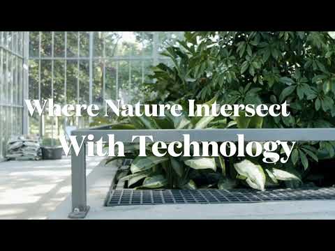 Synergy in the Ordinary