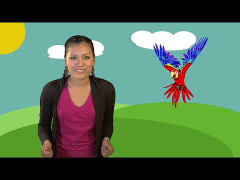 Los Colores - Yine Yami