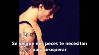 John Frusciante - I&#39;m Always (sub español)