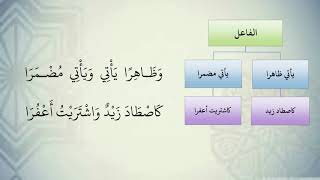 شرح نظم الآجرومية مع التشجير //49//الشيخ محمد محمود الشنقيطي image