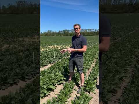 Ditlev Hasselbalch fortæller om formålet med afprøvningen.