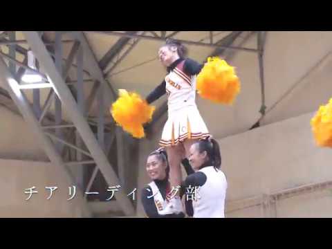 ダンスイベント　『No dance, No life.』
