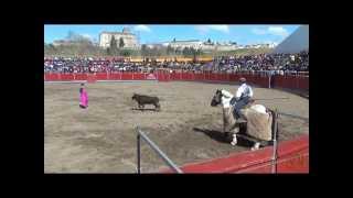 preview picture of video 'TENTADERO PUBLICO DIDACTICO - II FERIA INTERNACIONAL DEL TORO DE CORIA'