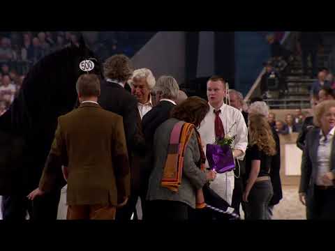 Hengstenkeuring 2018: Rubriek 9