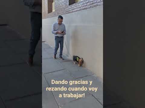 Calle 25 de mayo en Tucuman. Diciembre 2025. Gruta de Nuestra Señora de Lourdes