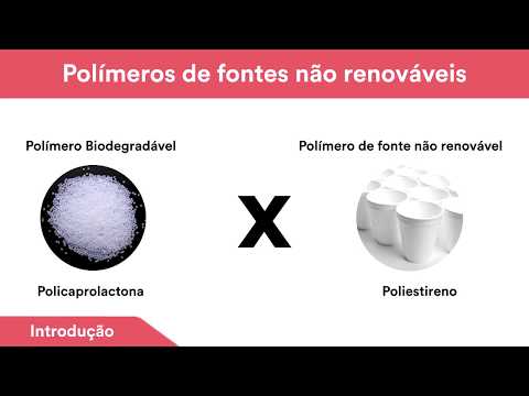 Paula Cristina Tessaro de Bortoli (28º SIC UFSC)