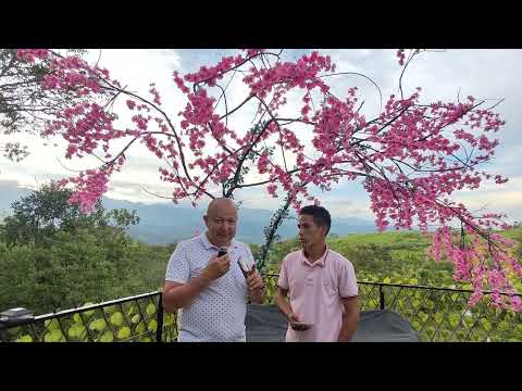 Guapotá: el “paraíso escondido” de Santander que apuesta por el turismo sostenible