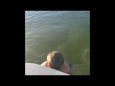 Just ronin being ronin