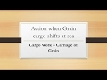 Action When Grain Cargo Shifts At Sea Cargo Work