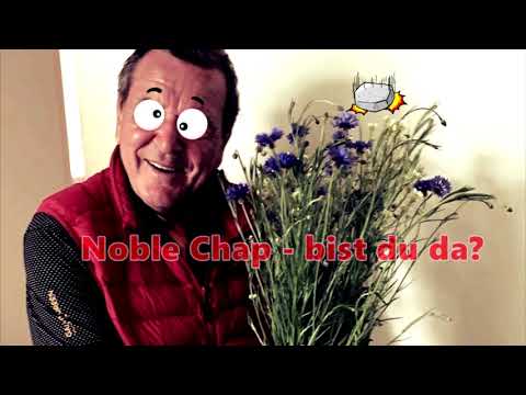 Noble Chap - bist du da?
