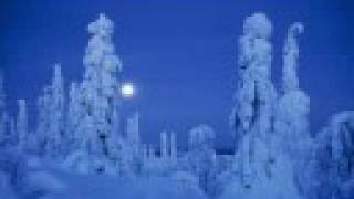 Tarja - The Reign (with lyrics)