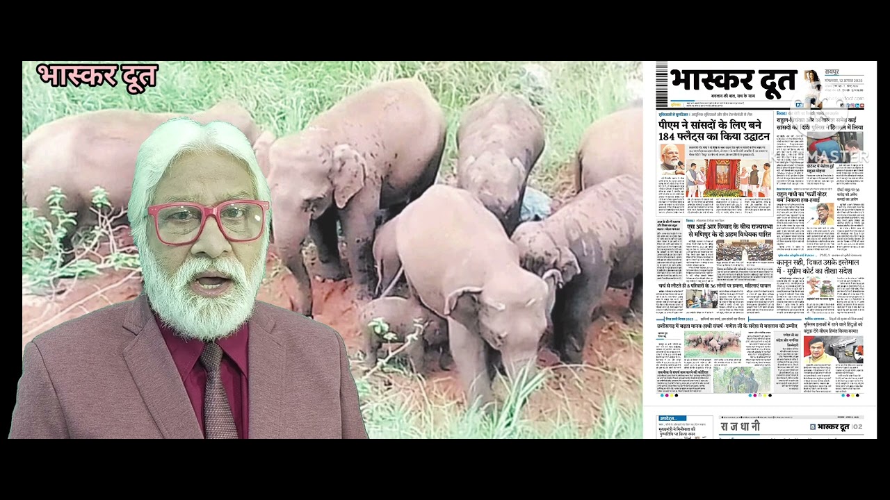 भास्करदूत न्यूज हेडलाइन 12-08-2025