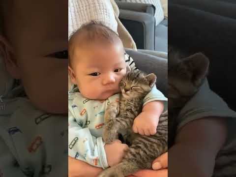 It Doesn’t Get Cuter Than This Kitten & Baby