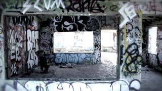 Boss Hog Brood X Trailer