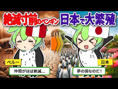 フンボルトペンギン